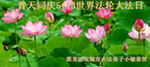 黑龙江哈尔滨双城市一大法弟子恭贺5.13世界法轮大法日！