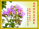 吉林省长春大法弟子普天同庆五一三世界法轮大法日！