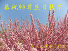 黑龙江省大庆大法弟子恭祝慈悲伟大的师尊生日快乐！