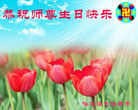 黑龙江省哈尔滨大法弟子恭祝师尊华诞暨世界法轮大法日！