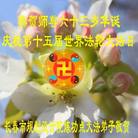 吉林省长春各界大法弟子恭祝师尊生日快乐！