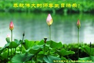 黑龙江省哈尔滨大法弟子恭祝师尊生日快乐！