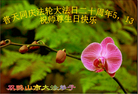 黑龙江省双鸭山大法弟子恭祝师父华诞！恭贺世界法轮大法日！