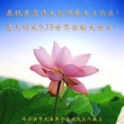 黑龙江省哈尔滨大法弟子及家人恭祝慈悲伟大的师尊生日快乐！
