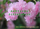 山西省忻州一老年学法小组大法弟子恭祝师尊华诞暨世界法轮大法日！