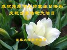 吉林省长春大法弟子恭祝师尊生日快乐！庆祝世界法轮大法日！