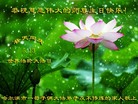 黑龙江省哈尔滨一母子俩大法弟子及不修炼的家人恭祝师尊生日快乐！庆祝世界法轮大法日！