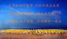 黑龙江省黑河市逊克县大法弟子恭祝师尊生日快乐！庆祝第十五届世界法轮大法日！