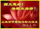 上海大法弟子恭祝第十五届世界法轮大法日暨恭祝师尊华诞！