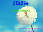 黑龙江省七台河北岸两大法弟子拜祝师尊生日快乐！同庆世界法轮大法日！