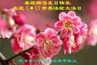 天津市宁河县大法弟子恭祝师尊生日快乐！庆祝世界法轮大法日！