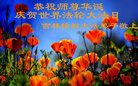 吉林省长春市榆树市大法弟子恭祝师尊华诞！齐贺世界法轮大法日！