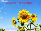 河北省邯郸学法小组大法弟子恭祝慈悲伟大的师尊生日快乐！