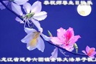 黑龙江省哈尔滨市延寿县六团镇全体大法弟子恭祝师尊生日快乐！