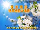 河北枣强全体大法弟子恭祝师尊生日快乐暨世界法轮大法日！