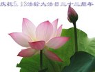 黑龙江省哈尔滨市延寿县一学法小组全体大法弟子庆祝5.13法轮大法日！