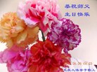 黑龙江大庆大法弟子恭祝慈悲伟大的师尊生日快乐！