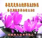 黑龙江省哈尔滨市双城市大法弟子恭祝慈悲伟大的师尊生日快乐！