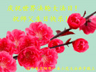 辽宁省沈阳市一朵小花大法弟子庆祝世界法轮大法日！祝师父生日快乐！