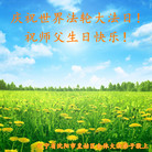 辽宁省沈阳市一朵小花大法弟子祝最伟大的师父生日快乐！