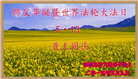西藏、新疆、浙江大法弟子恭贺师尊华诞(49条)