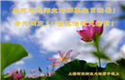 上海大法弟子恭贺世界法轮大法日暨师尊华诞(25条)