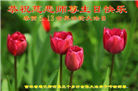 中国农村地区大法弟子喜迎法轮大法日