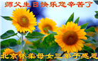 北京大法弟子恭贺世界法轮大法日暨师尊华诞(18条)