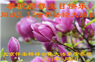 北京大法弟子恭贺世界法轮大法日暨师尊华诞(23条)