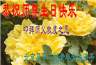 北京大法弟子恭贺世界法轮大法日暨师尊华诞(20条)