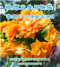 廊坊大法弟子恭贺世界法轮大法日暨师尊华诞(19条)