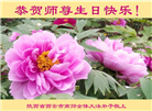 西安大法弟子恭贺世界法轮大法日暨师尊华诞(19条)