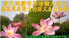 廊坊大法弟子恭贺世界法轮大法日暨师尊华诞(19条)