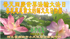 廊坊大法弟子恭贺世界法轮大法日暨师尊华诞(19条)