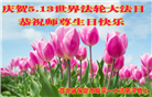 保定大法弟子恭贺世界法轮大法日暨师尊华诞(18条)