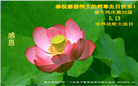 湖北大法弟子恭贺世界法轮大法日暨师尊华诞(25条)
