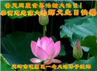 天津大法弟子恭贺世界法轮大法日暨师尊华诞(23条)