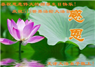 天津大法弟子恭贺世界法轮大法日暨师尊华诞(21条)