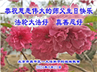 北京大法弟子恭贺世界法轮大法日暨师尊华诞(21条)