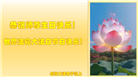 湖南大法弟子恭贺世界法轮大法日暨师尊华诞(21条)