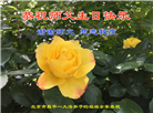 北京大法弟子恭贺世界法轮大法日暨师尊华诞(25条)