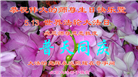 北京大法弟子恭贺世界法轮大法日暨师尊华诞(25条)