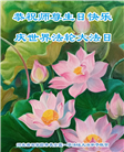 石家庄大法弟子恭贺世界法轮大法日暨师尊华诞(19条)