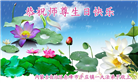 内蒙古大法弟子恭贺世界法轮大法日暨师尊华诞(21条)