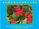 北京大法弟子恭贺世界法轮大法日暨师尊华诞(18条)
