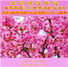 石家庄大法弟子恭贺世界法轮大法日暨师尊华诞(26条)