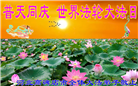 保定大法弟子恭贺世界法轮大法日暨师尊华诞(19条)