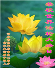 保定大法弟子恭贺世界法轮大法日暨师尊华诞(19条)