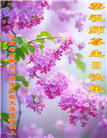 保定大法弟子恭贺世界法轮大法日暨师尊华诞(19条)