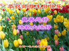 山西大法弟子恭贺世界法轮大法日暨师尊华诞(22条)